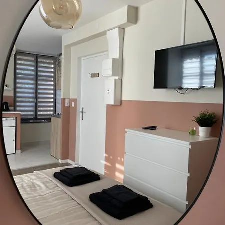 Duplex Et Studio Saint Martin Le Beau Exterior foto
